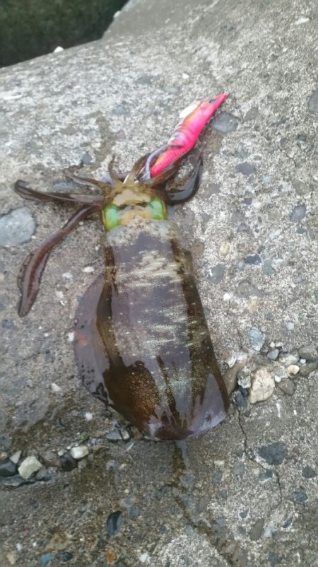 どこいったん？